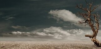 Czy suchy szampon może uczulać?