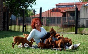 Jaka lampę lupę wybrać? Jaka lampę lupę wybrać?