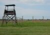 Czym się rożni masakra od tuszu do rzęs? Czym się rożni masakra od tuszu do rzęs?