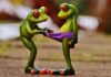 Co to znaczy slipy?