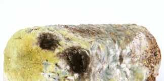 Czym dezynfekować grzebienie?