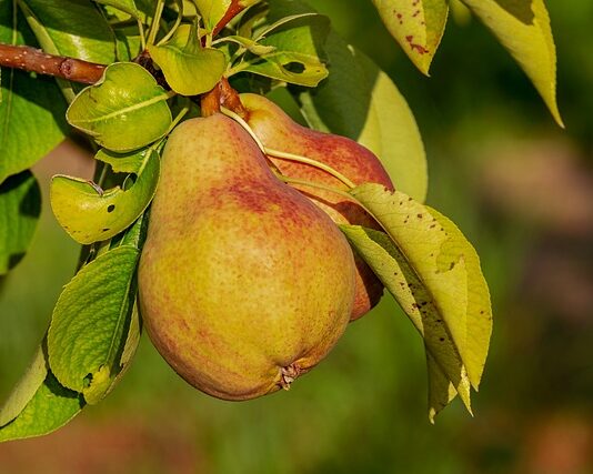 Czy stosowanie odżywek do rzęs jest zdrowe?
