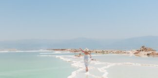 Czy Sole są szkodliwe?